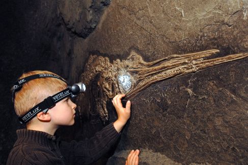 Fossielen zoeken bij TERRA.vision in Natuur- en Geopark TERRA.vita