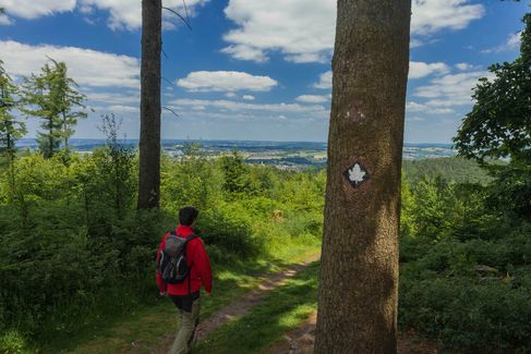 Wandelroute Ahornweg in Natuur- en Geopark TERRA.vita