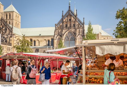 Weekmarkt op de Domplatz in Münster - ©Dagmar Schwelle
